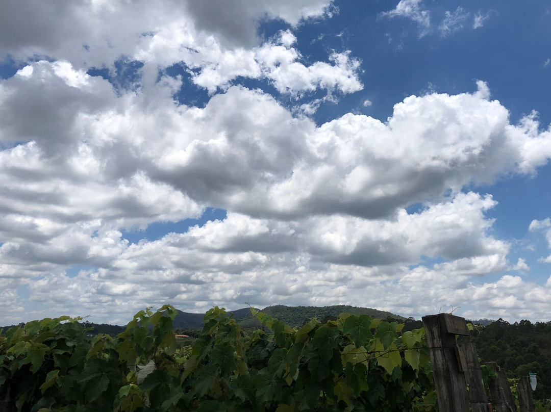 Vinicola Castanho-容迪亚伊必去景点