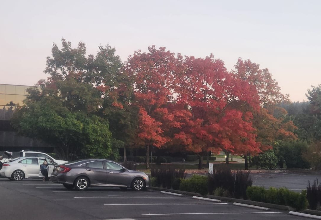 西雅图贝尔维尤希尔顿合博套房酒店主图