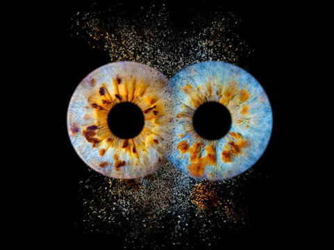 Amazojo Iris Photo Studio-彭萨科拉必去景点