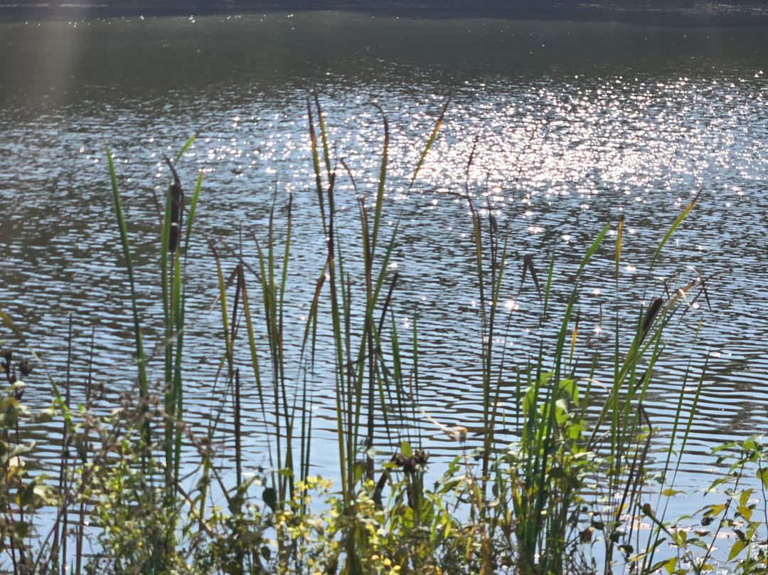 Sodalis Nature Park-Plainfield必去景点