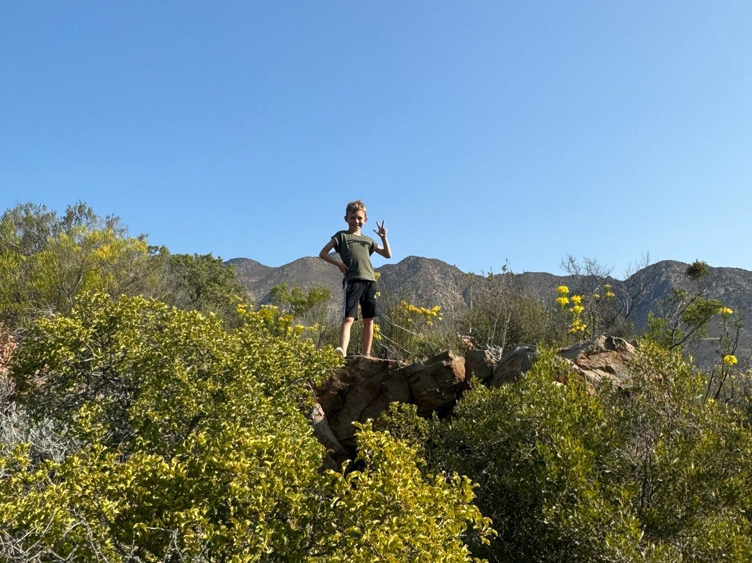 Montagu Nature Garden-蒙提古必去景点