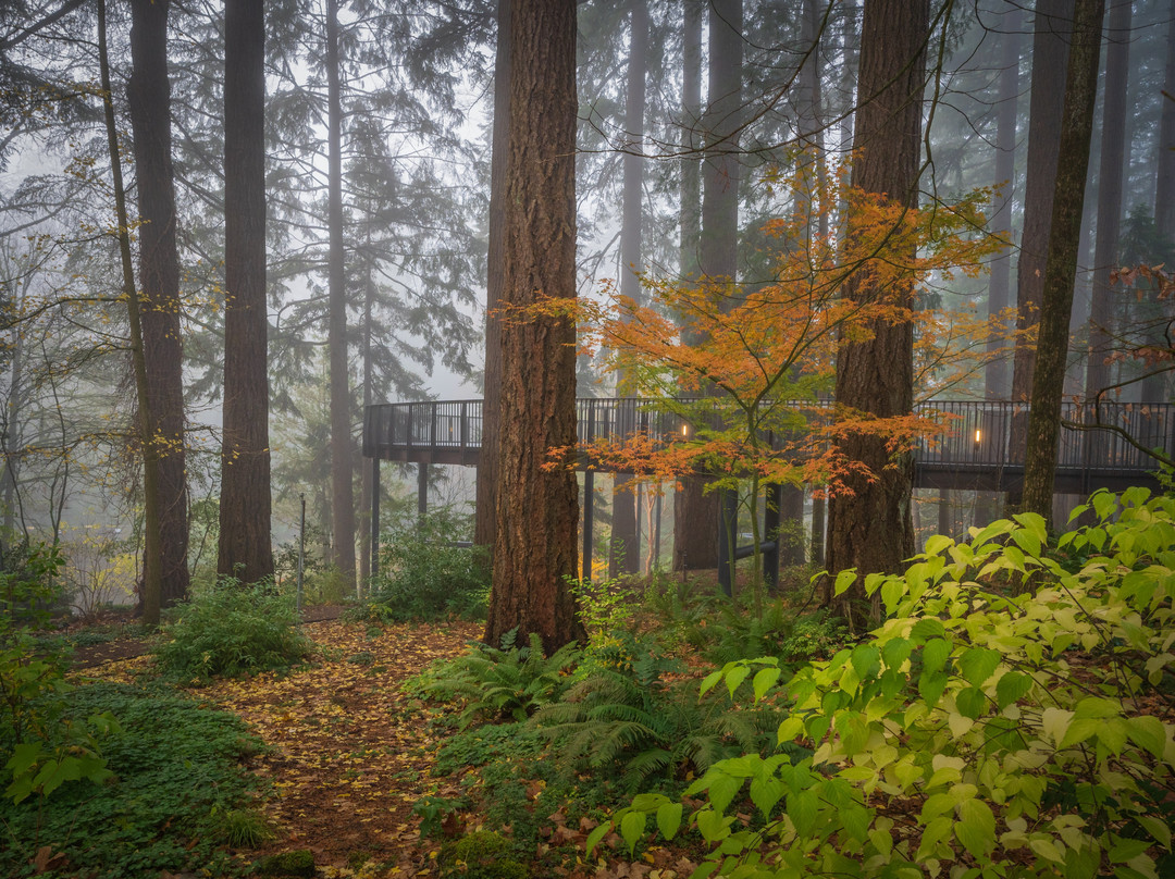 Leach Botanical Garden-波特兰必去景点