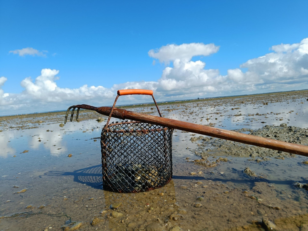 Gîtes Au Passage du Gois主图