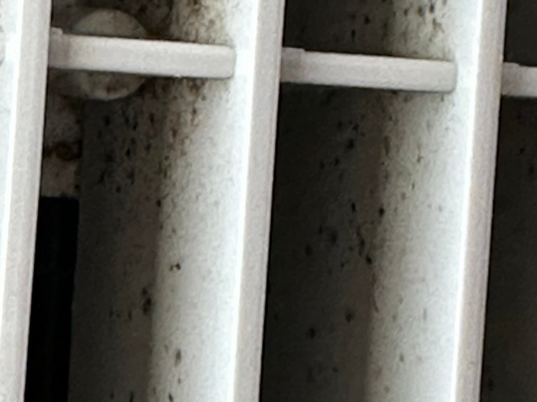 Hampton Inn Harrisonburg - South主图