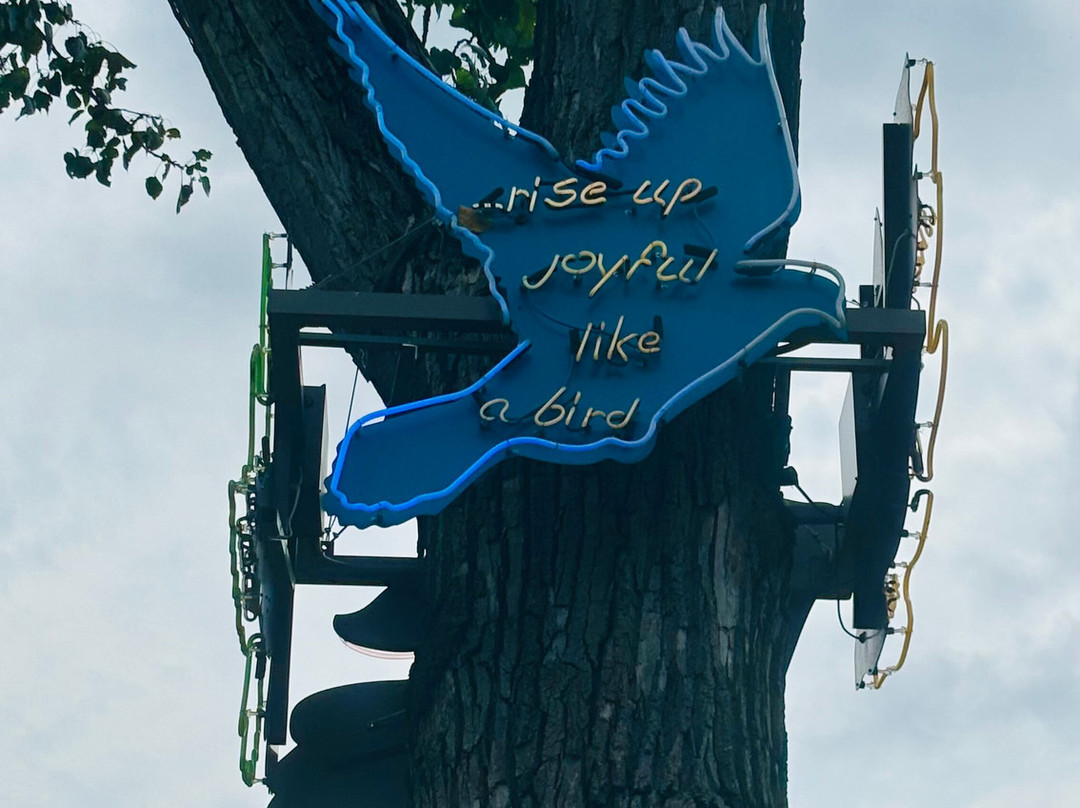 Laumeier Sculpture Park-圣路易斯必去景点