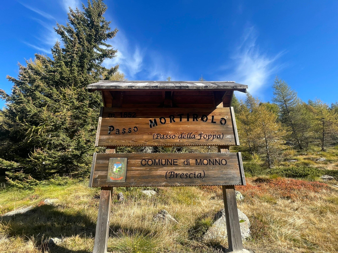 Passo del Mortirolo景点图片