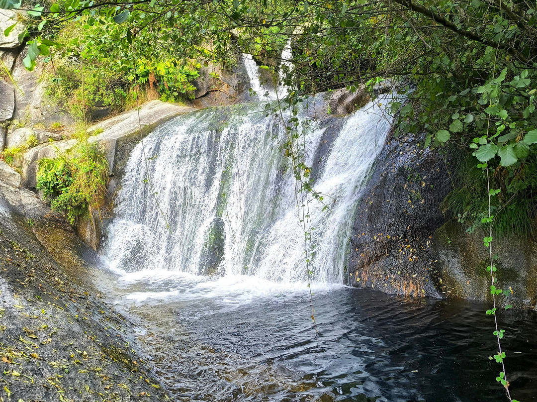 Parque Natural Ria Barosa景点图片