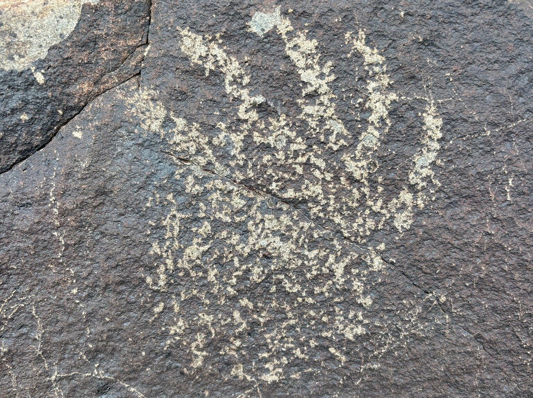 Three Rivers Petroglyph Site-Tularosa必去景点