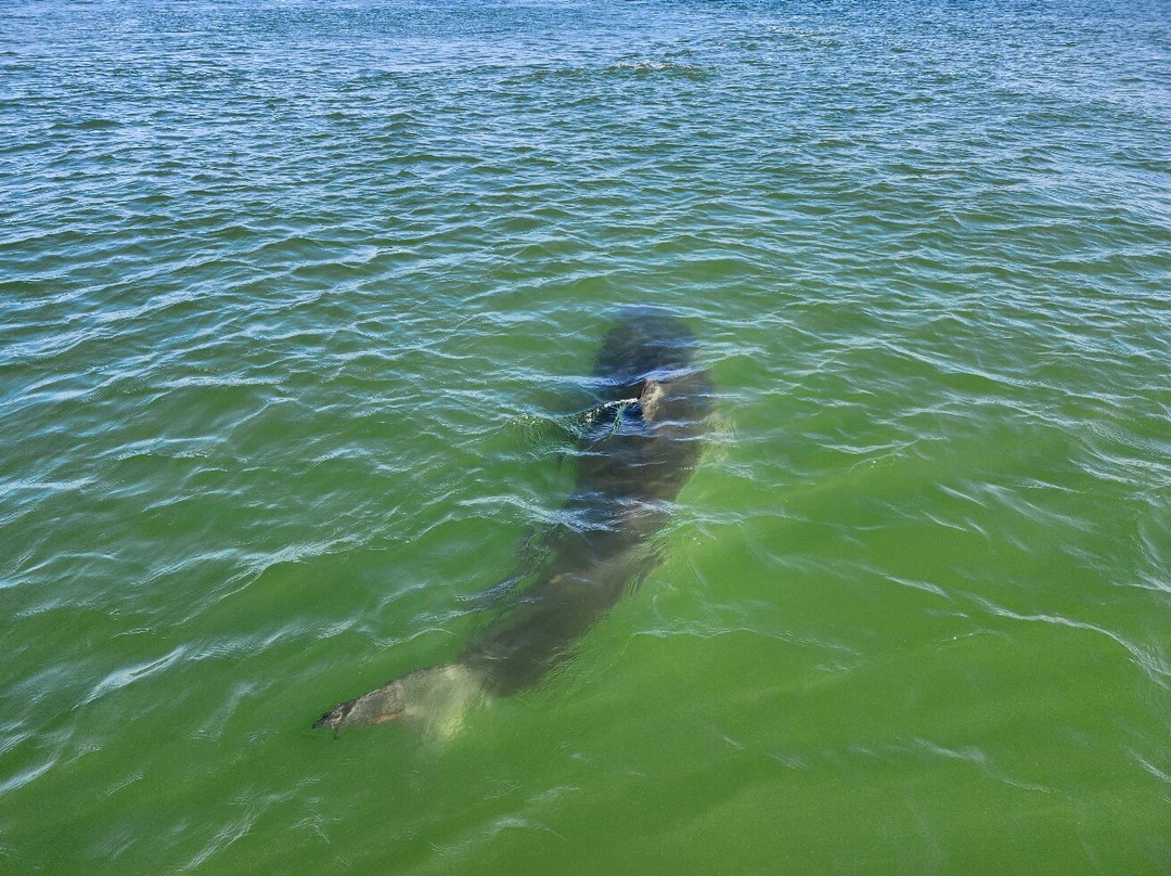 Monomoy Sportfishing-查塔姆必去景点