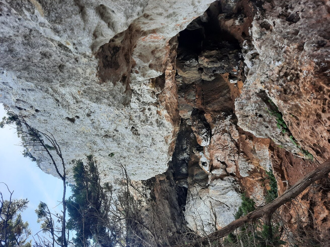 Grotta dei Vasi Rotti-阿尔盖罗必去景点