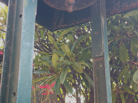 Moonta Uniting Church