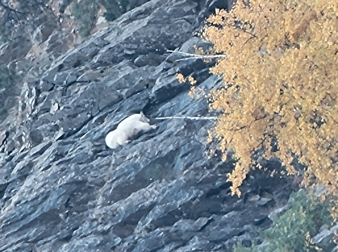 Bridal Veil Falls-Spearfish必去景点