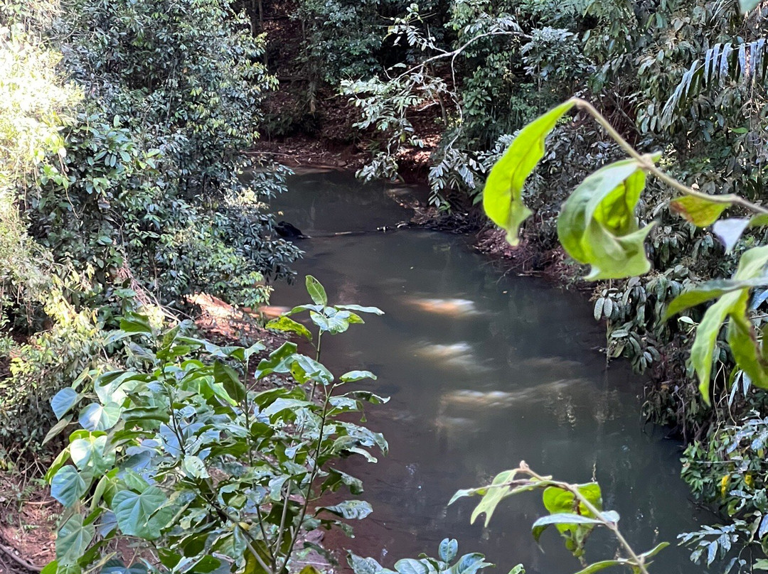 Malanda Falls-马兰达必去景点