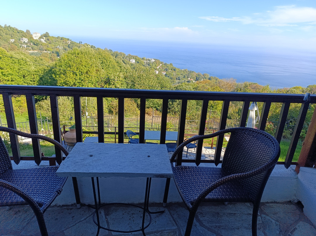 Diogenis Hotel主图