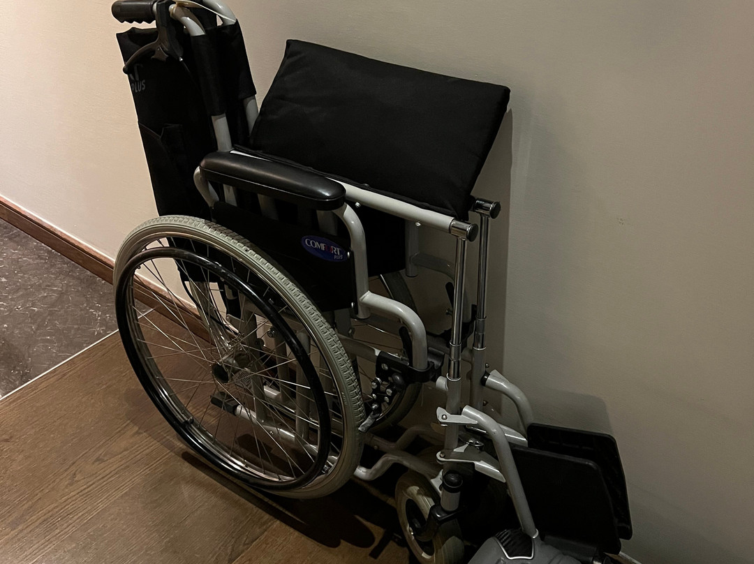 Istanbul Wheelchair-伊斯坦布尔必去景点