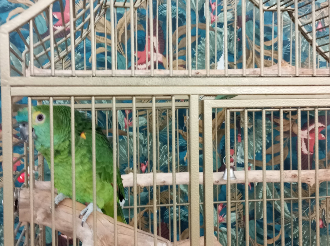 Hotel Planeta Inn主图