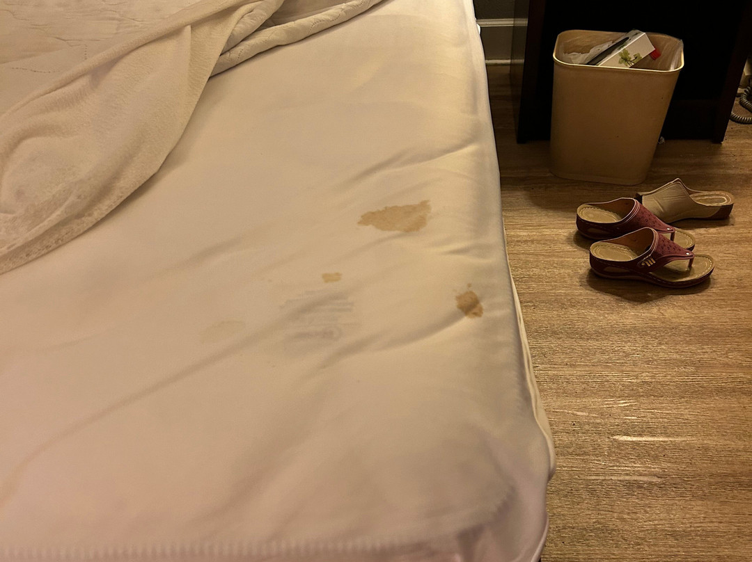 Red Roof Inn Tifton主图