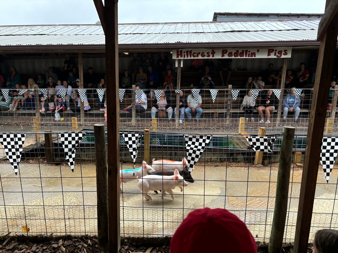 Hillcrest Orchards-Ellijay必去景点