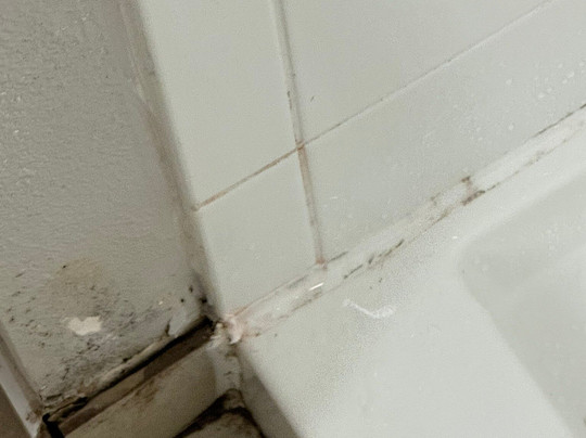 纽波特纽斯假日酒店及套房主图