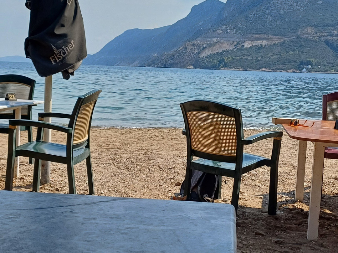 Athina Tavern