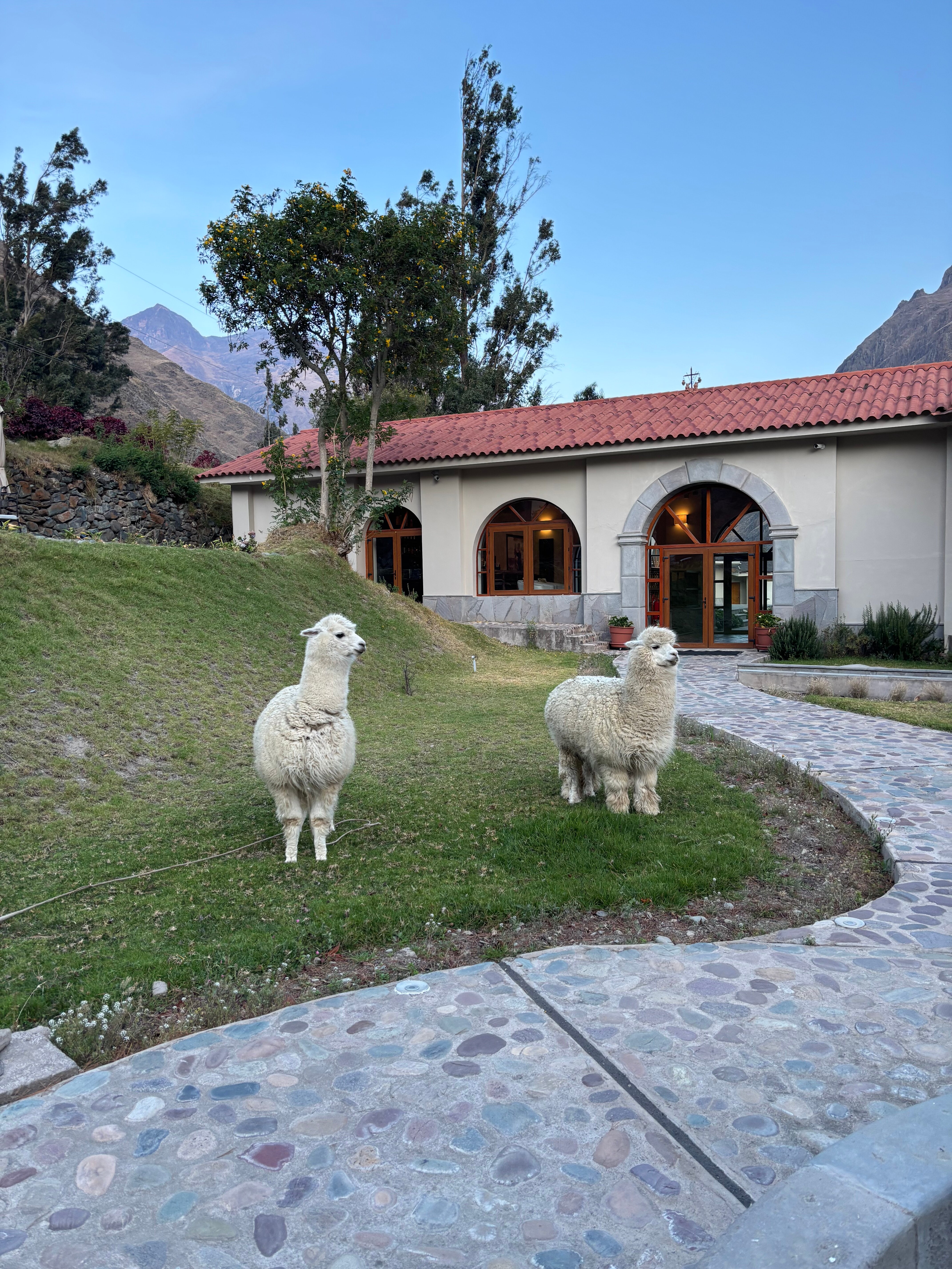 Del Pilar Ollantaytambo-官方