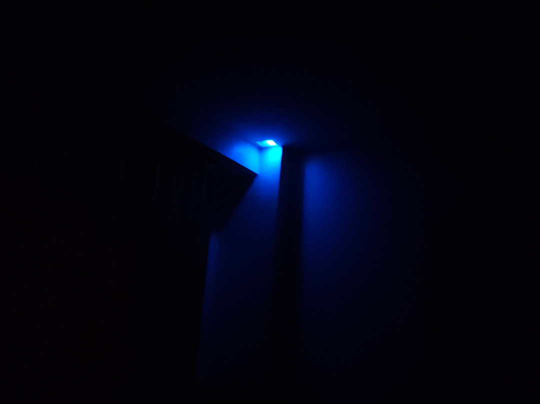 The Palms by Eagles主图