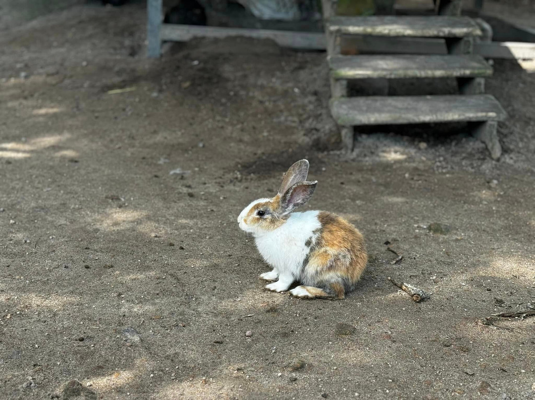 The Residence Bintan主图