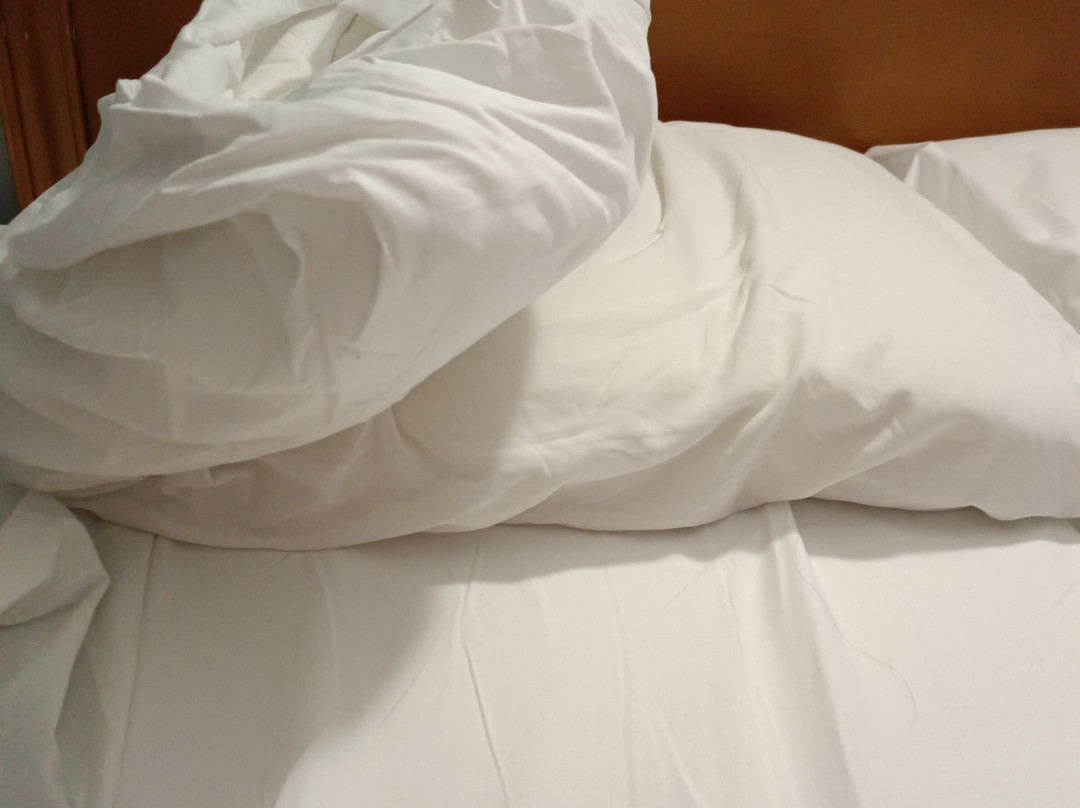 Hotel Los Leones San Martín de la Vega主图