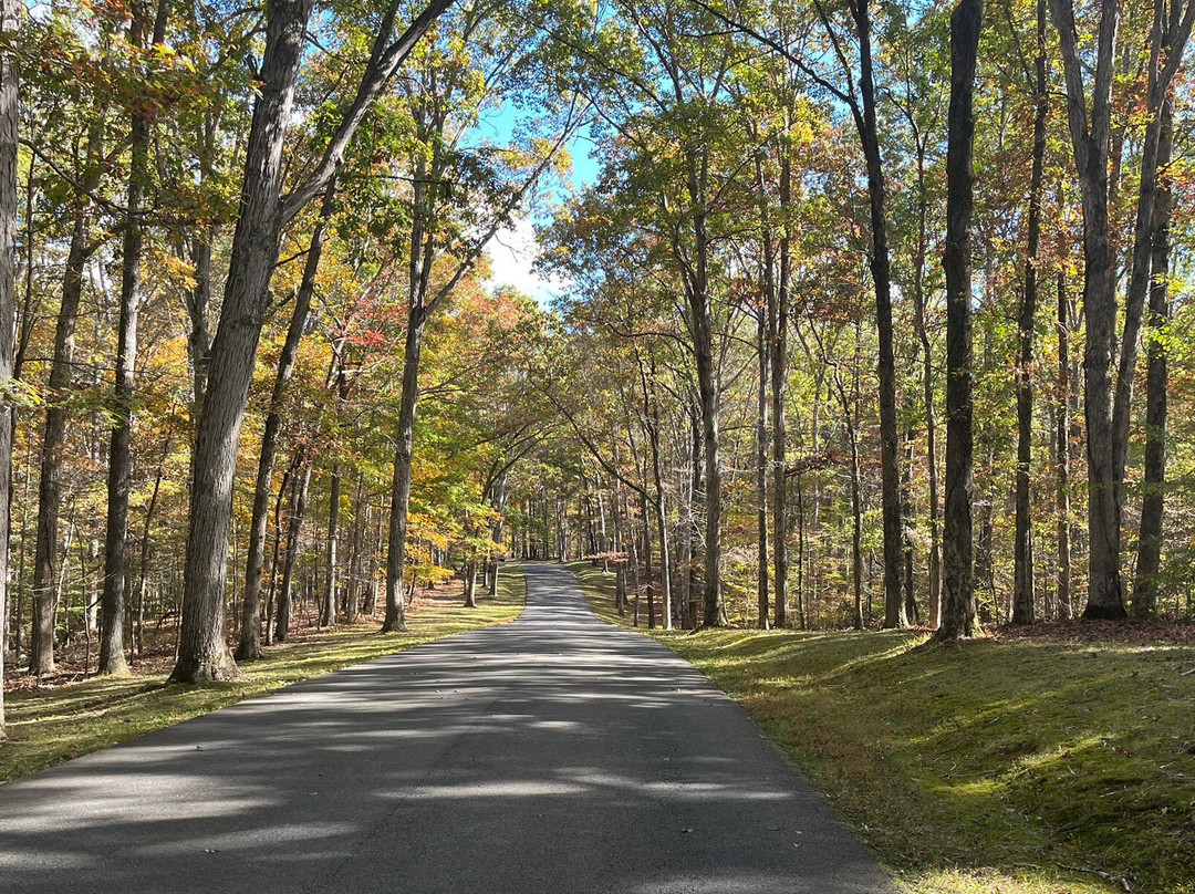 The Lodge at Montgomery Bell主图