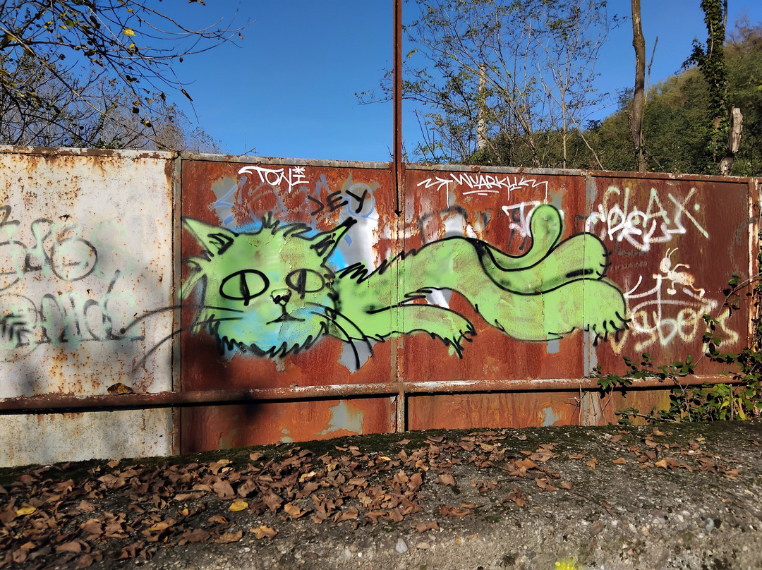Pista ciclabile Valle Olona景点图片