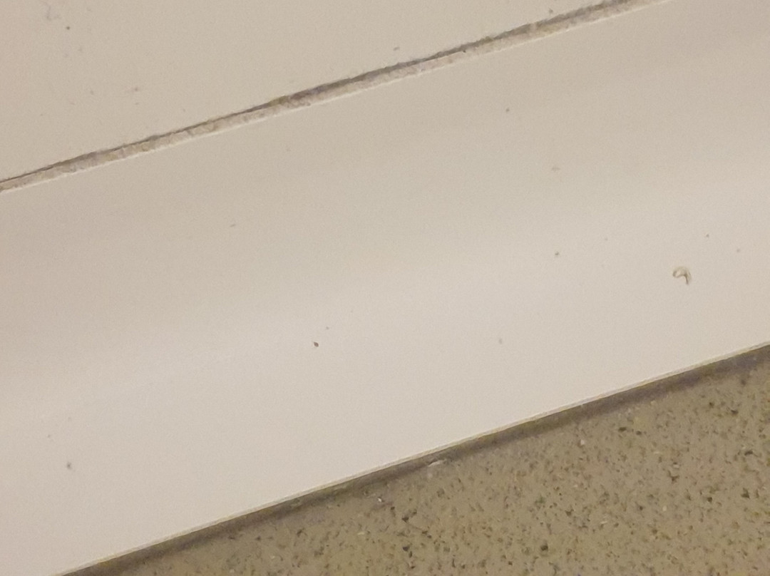 梯也尔宜必思快捷酒店主图