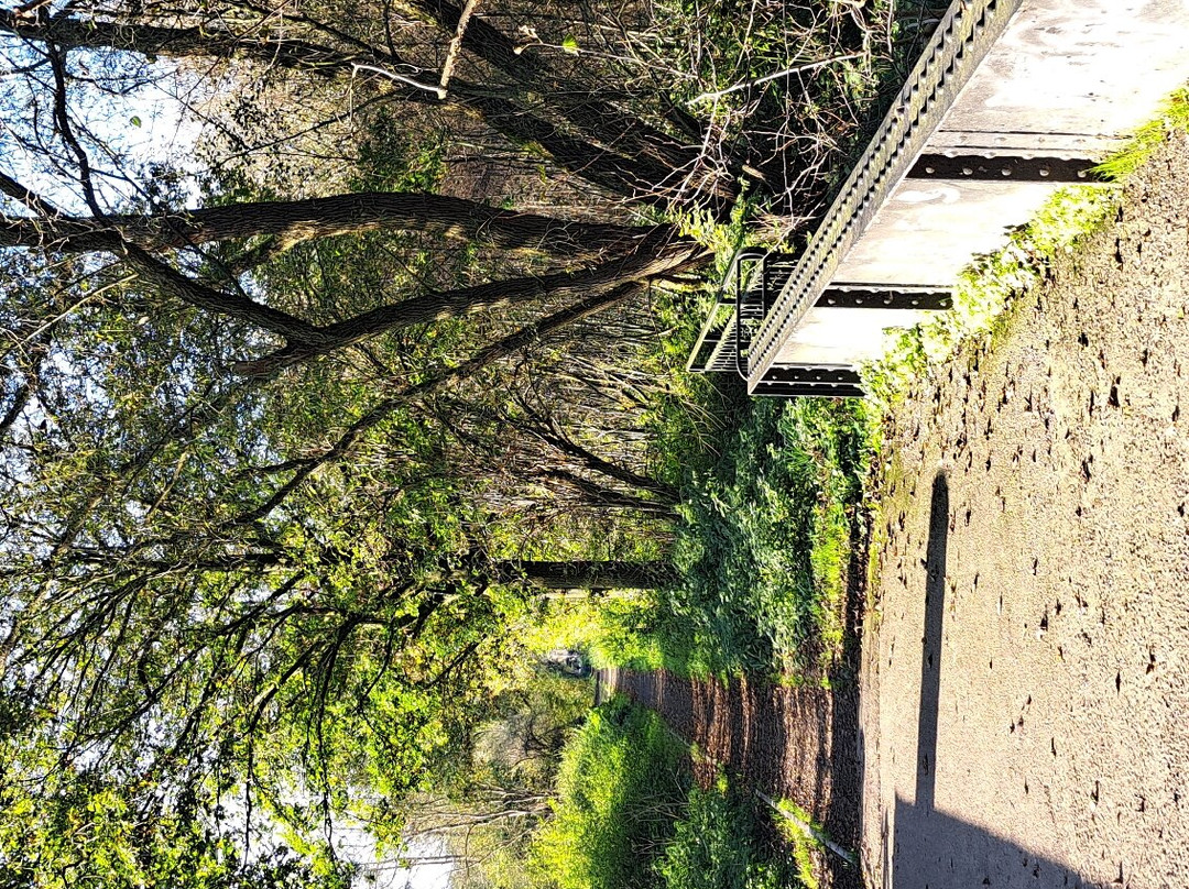 Wichet de la Rose, Dalhem景点图片