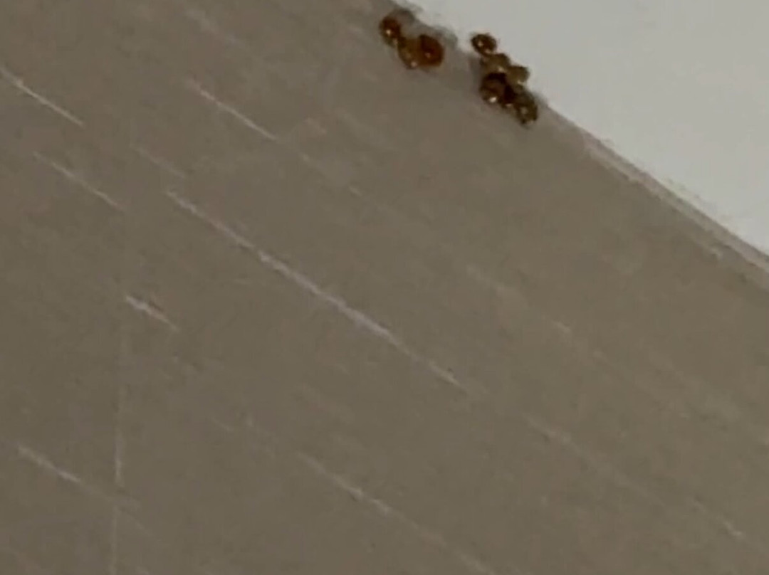 Hampton Inn & Suites By Hilton Nashville North Skyline主图