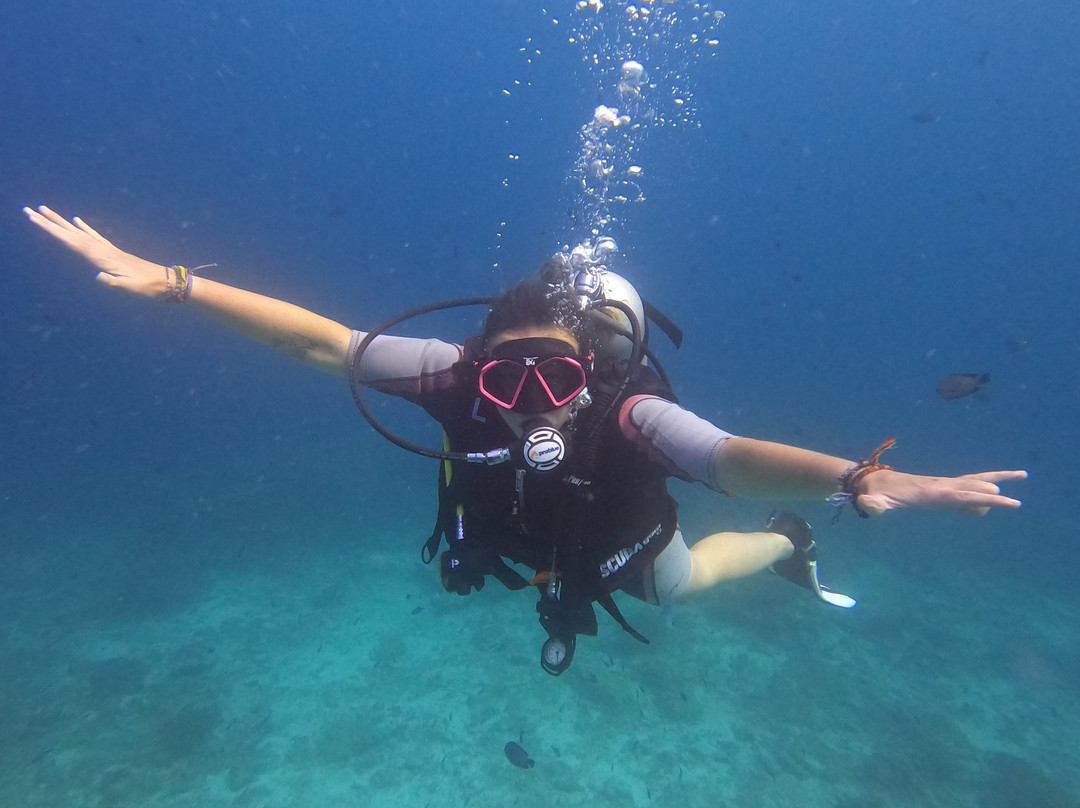 Bubble Addict-韦岛必去景点