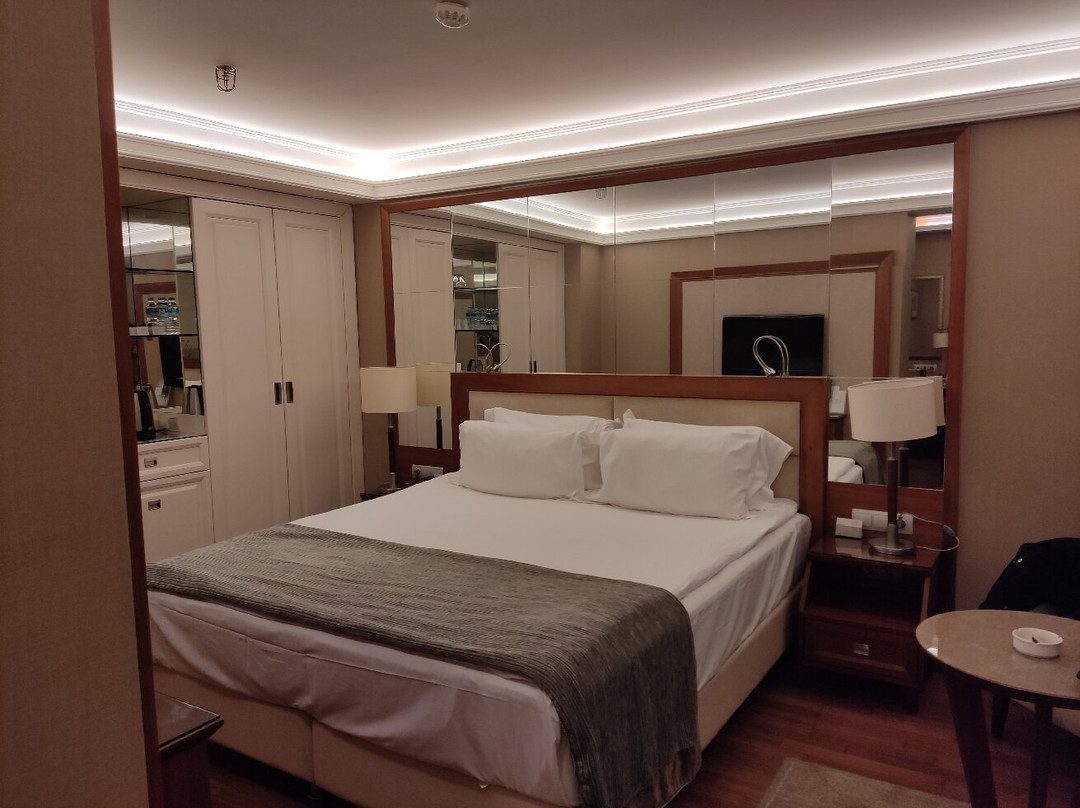 Marigold Thermal Spa Hotel主图