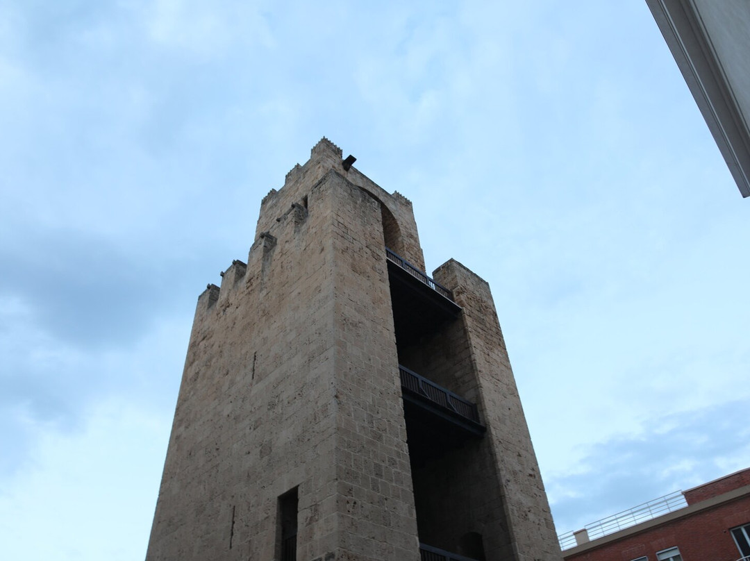 Torre di Mariano II-奥里斯塔诺省必去景点
