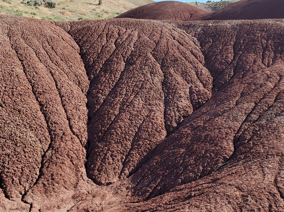 John Day Fossil Beds National Monument, Painted Hills Unit景点图片