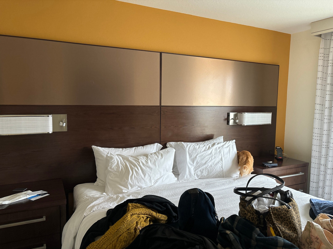 Residence Inn by Marriott Rapid City主图