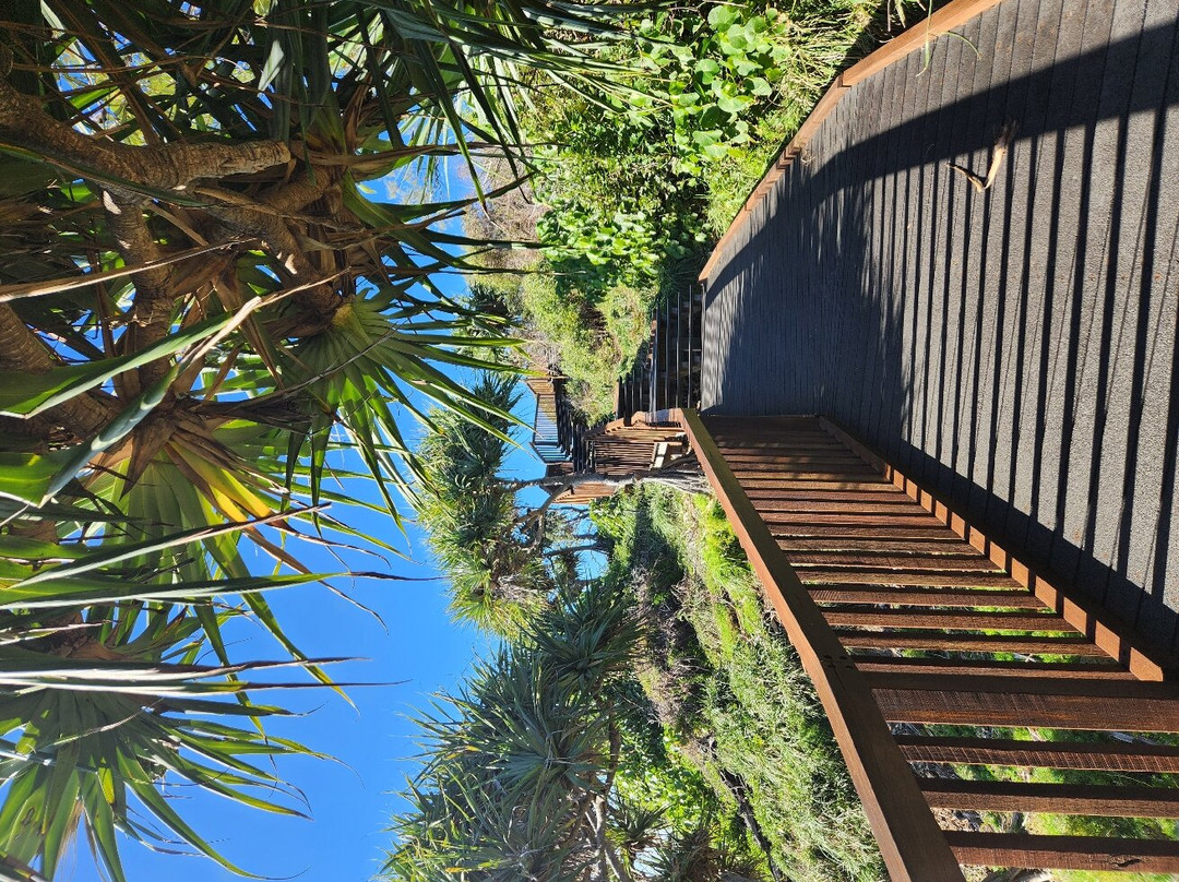 Point Lookout Beach景点图片