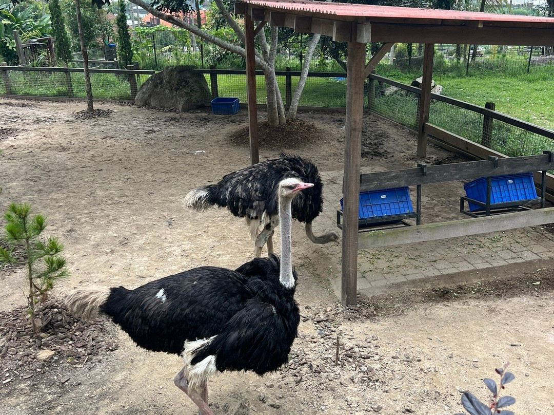 Bali Farm House景点图片