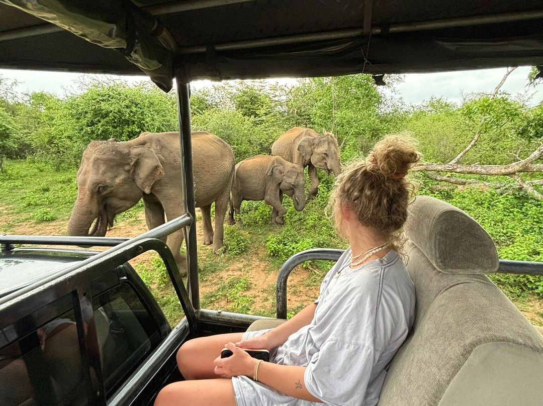 Udawalawe safari vishal-乌达瓦拉瓦必去景点