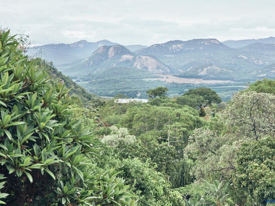 Leopard Tree Retreat主图