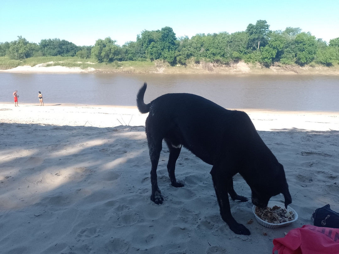 Parque Balneario Municipal Dr. Delio Panizza景点图片
