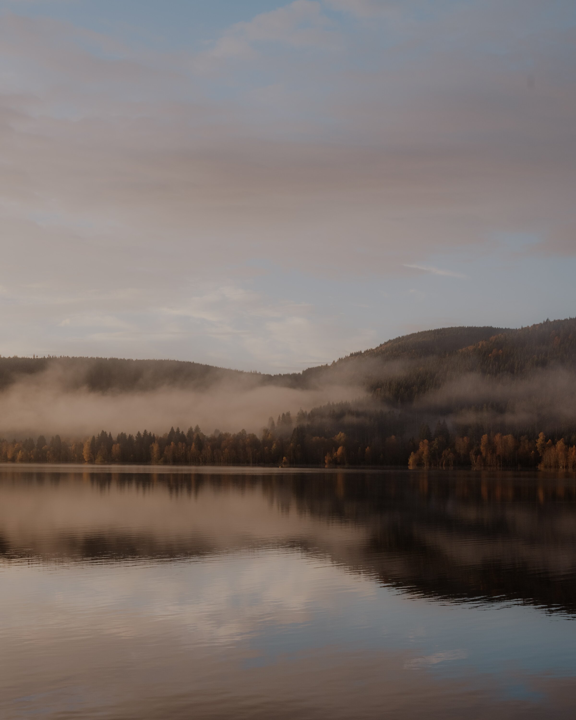Hotel Auerhahn-酒店景观