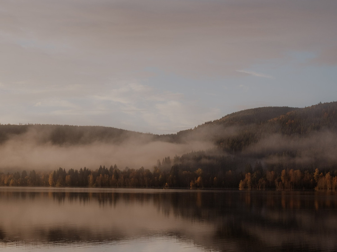 Hotel Auerhahn主图