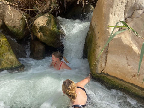 Amjad issa tours-安曼必去景点