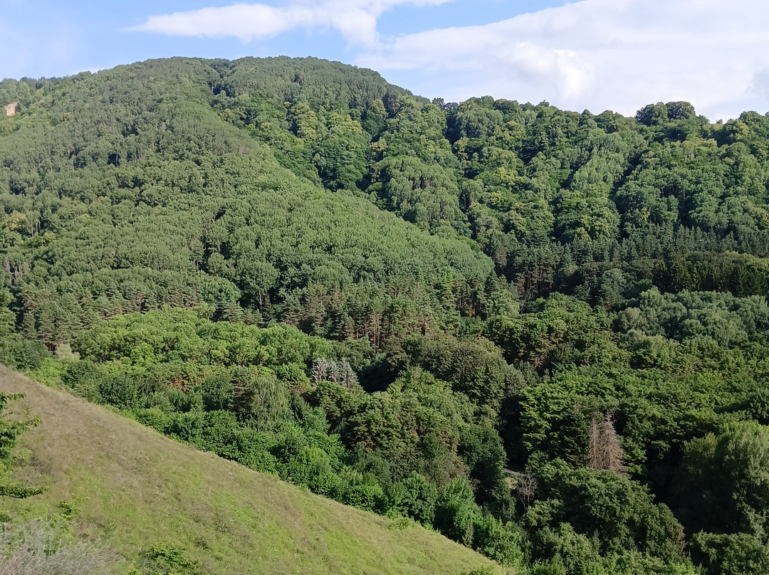 Mountain Maloye Sedlo景点图片