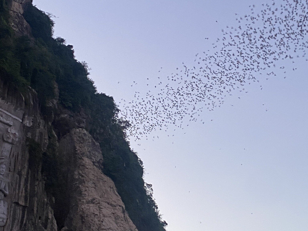 An Travel & Transportation Cambodia-马德望必去景点
