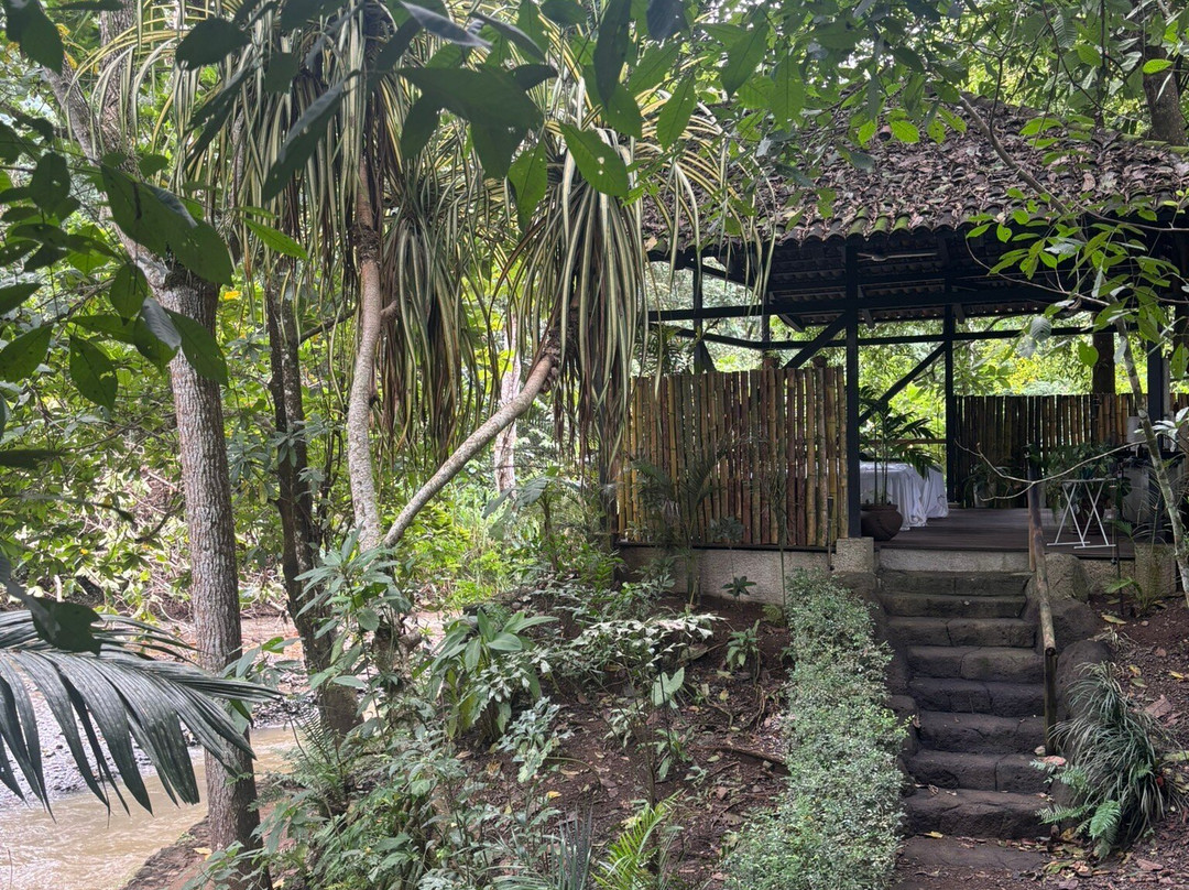 Spa Nazareth景点图片