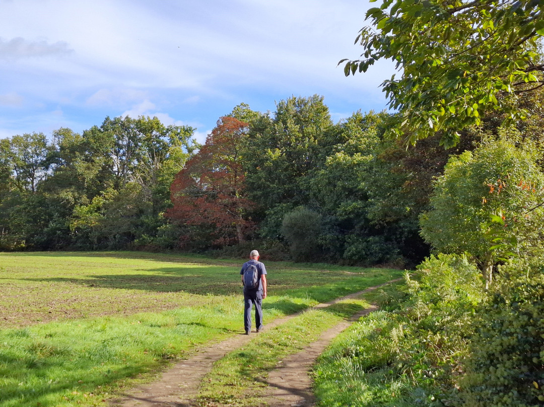 Promenades Et Randonnées À Nostang-Nostang必去景点